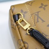 Louis Vuitton Top Quality Palm Springs Mini Monogram M44872 Brown