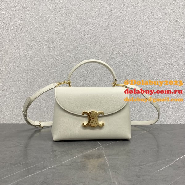 Luxury celine TRIOMPHE 20CM kelly BAG 118113