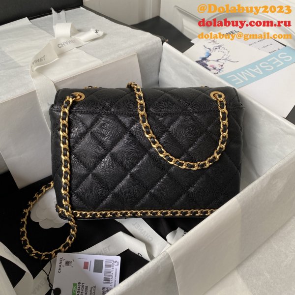 Replica Buy 1:1 Flap Handbags AS4489 Inspired Today