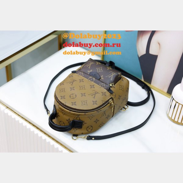 Louis Vuitton Top Quality Palm Springs Mini Monogram M44872 Brown