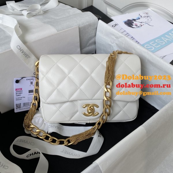 Fashion Buy Multi-function Replica AS4231 Flap Bag