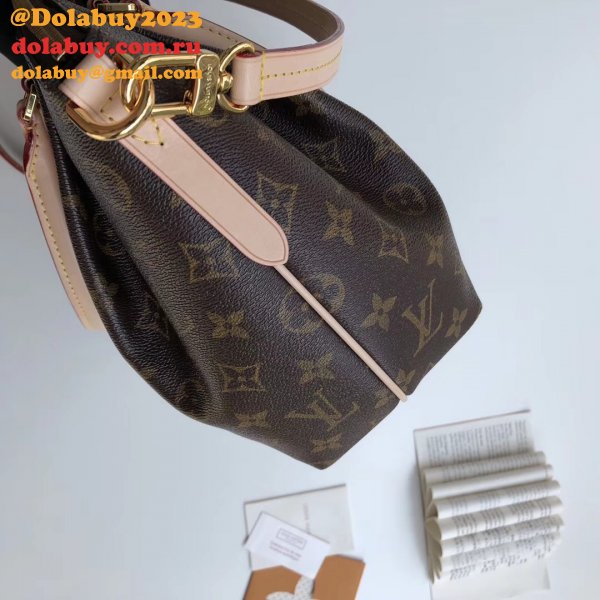 Luxury Louis Vuitton Wholesale Monogram Teyuren PM 2way Shoulder M48813 Bag