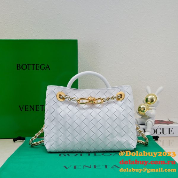 Top Quality BOTTEGA VENETA ANDIAMO small 25cm tote bag