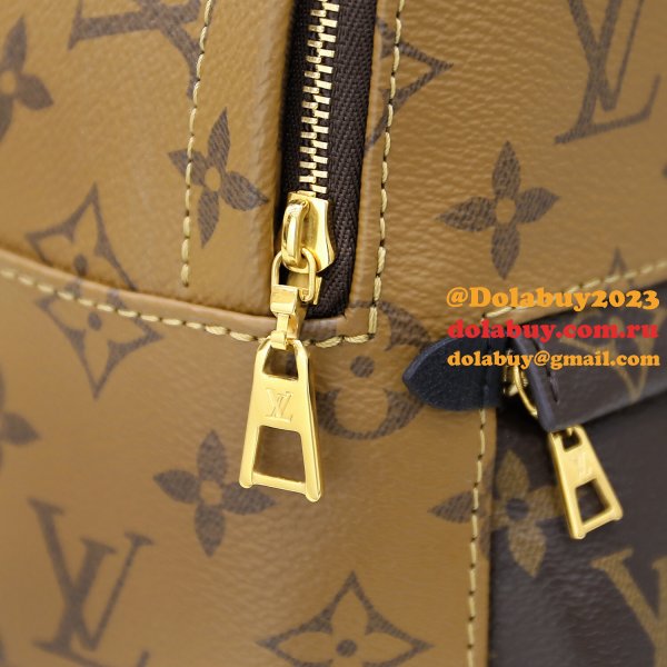 Louis Vuitton Top Quality Palm Springs Mini Monogram M44872 Brown