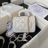 Best AS4547/AS4543 High Quality Vanity Case Shiny Replica Bag