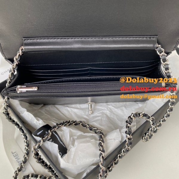 Replica Wallet 7 Star on Chain Lambskin AP2853 Bag