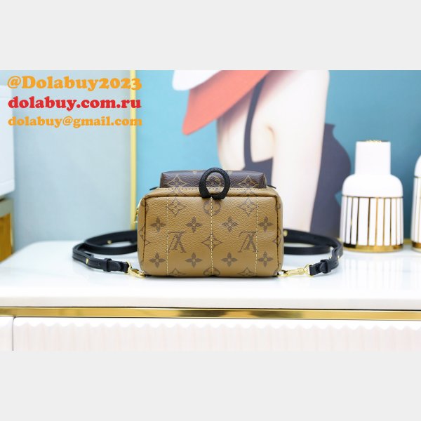 Louis Vuitton Top Quality Palm Springs Mini Monogram M44872 Brown