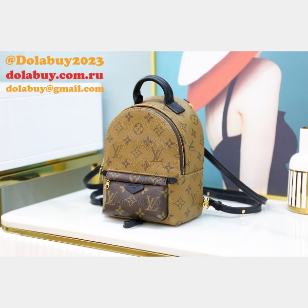 Louis Vuitton Top Quality Palm Springs Mini Monogram M44872 Brown