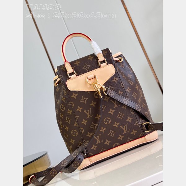 Louis Vuitton Designer Montsouris PM Monogram M11198 Top Quality Bag