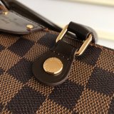 AAA+ Replica Louis Vuitton Siena MM Damier Ebene Brown