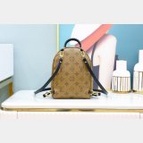 Louis Vuitton Top Quality Palm Springs Mini Monogram M44872 Brown