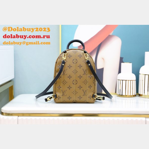 Louis Vuitton Top Quality Palm Springs Mini Monogram M44872 Brown