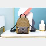 Louis Vuitton Top Quality Palm Springs Mini Monogram M44872 Brown