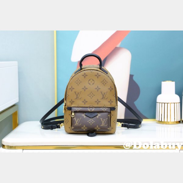 Louis Vuitton Top Quality Palm Springs Mini Monogram M44872 Brown