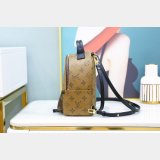 Louis Vuitton Top Quality Palm Springs Mini Monogram M44872 Brown