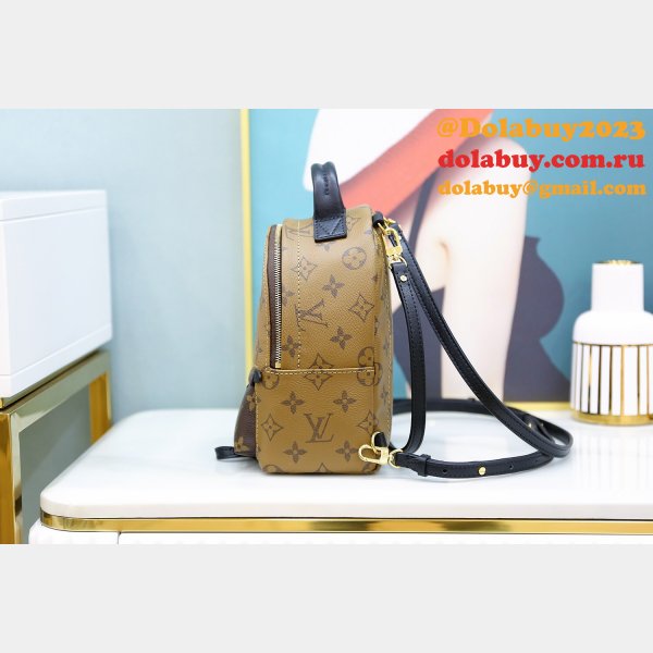 Louis Vuitton Top Quality Palm Springs Mini Monogram M44872 Brown