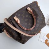 Luxury Louis Vuitton Wholesale Monogram Teyuren PM 2way Shoulder M48813 Bag