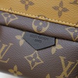 Louis Vuitton Top Quality Palm Springs Mini Monogram M44872 Brown