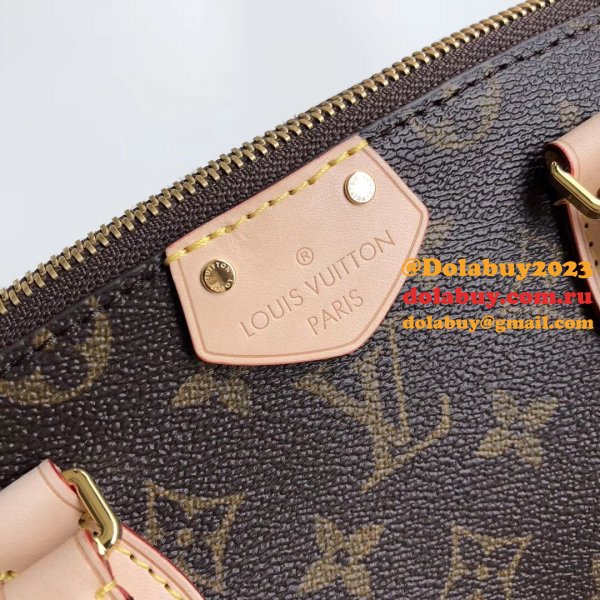 Luxury Louis Vuitton Wholesale Monogram Teyuren PM 2way Shoulder M48813 Bag